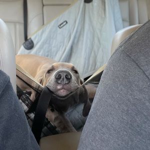 Meet your Posher, Whitney